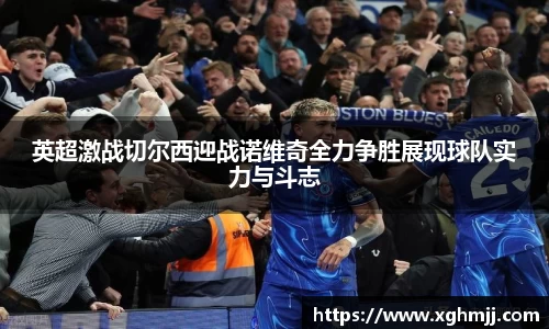 英超激战切尔西迎战诺维奇全力争胜展现球队实力与斗志